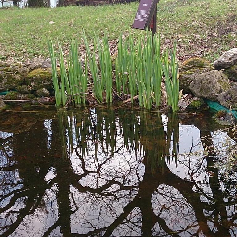 Agriturismo Ca'De'Gatti Faenza Luaran gambar