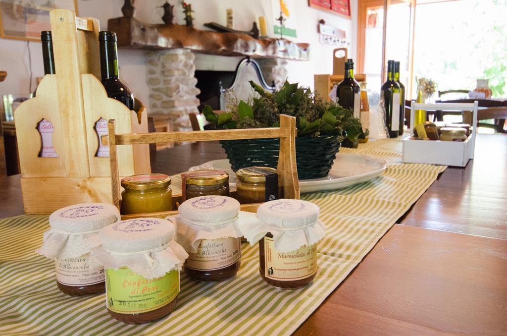 Agriturismo Ca'De'Gatti Faenza Luaran gambar