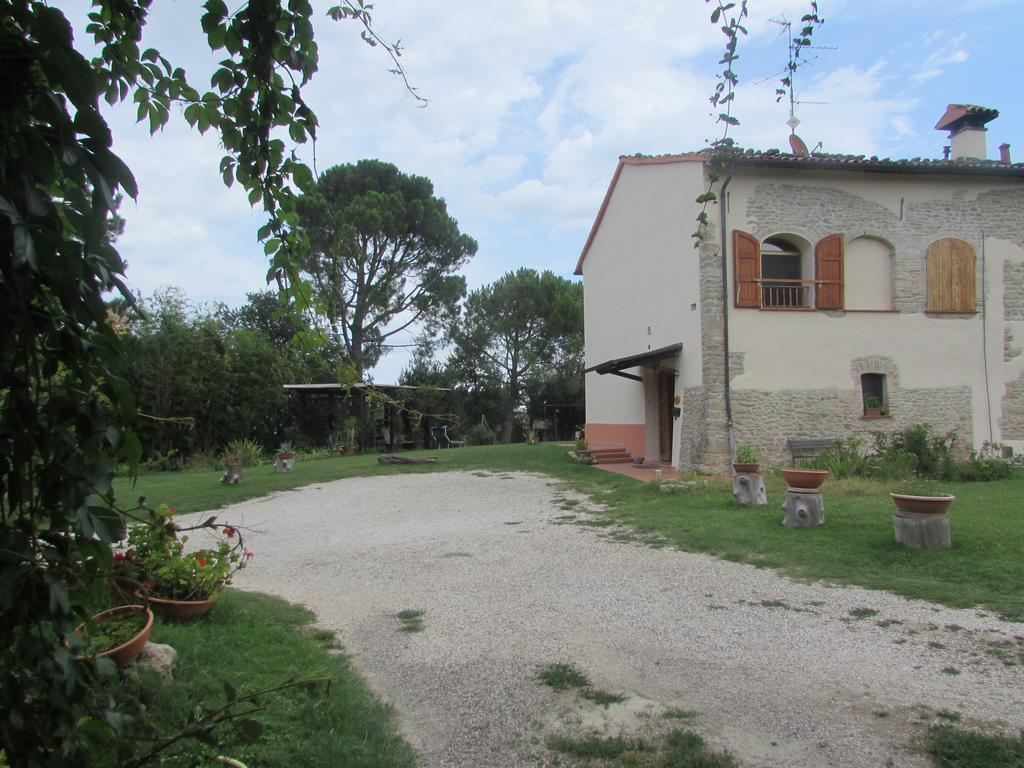 Agriturismo Ca'De'Gatti Faenza Luaran gambar