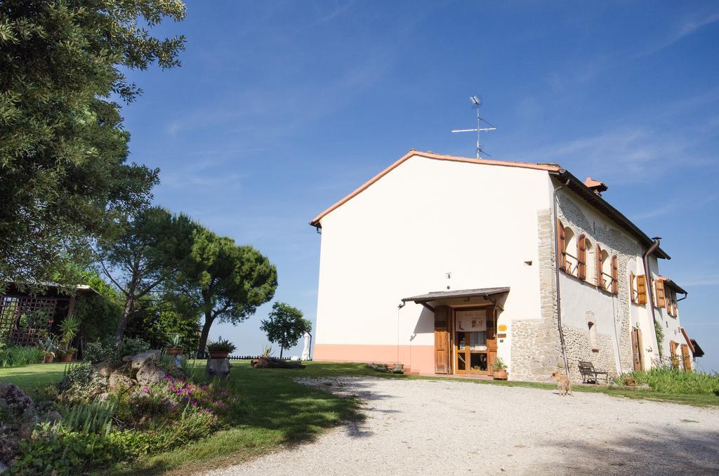 Agriturismo Ca'De'Gatti Faenza Luaran gambar