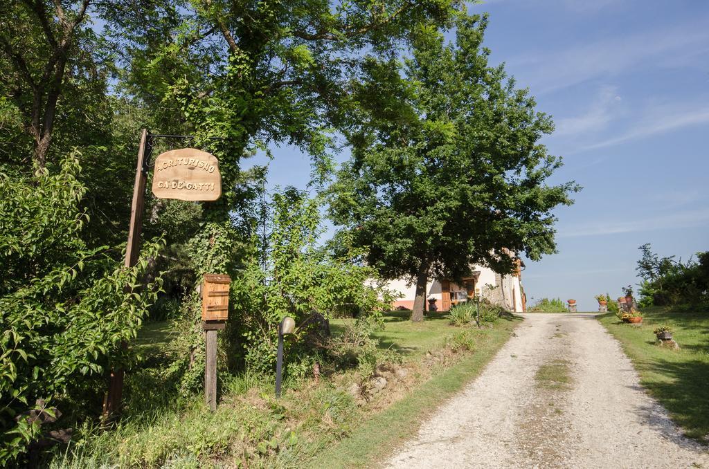 Agriturismo Ca'De'Gatti Faenza Luaran gambar
