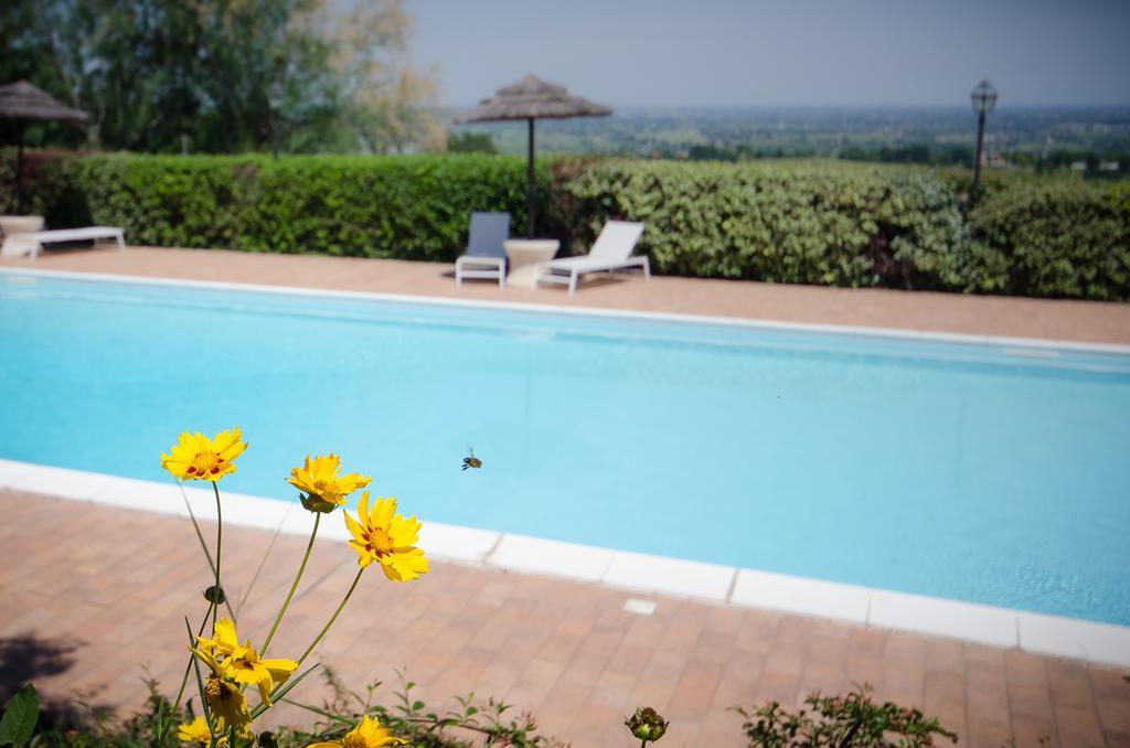 Agriturismo Ca'De'Gatti Faenza Luaran gambar