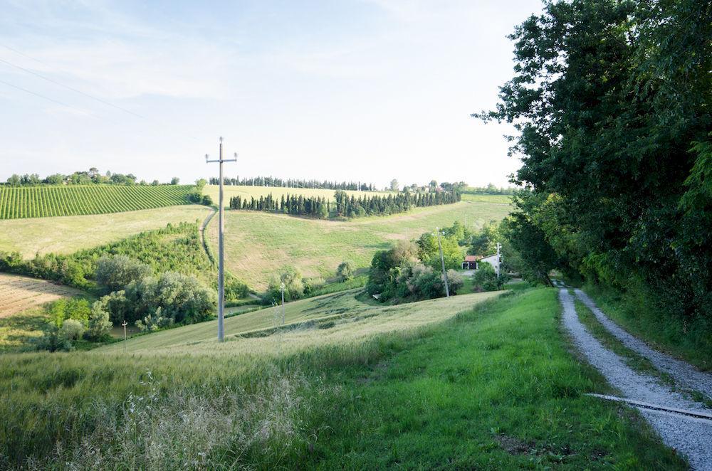 Agriturismo Ca'De'Gatti Faenza Luaran gambar