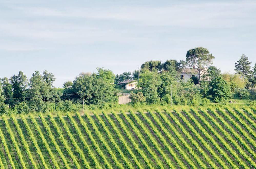 Agriturismo Ca'De'Gatti Faenza Luaran gambar
